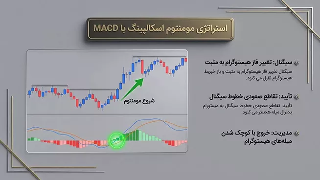 استراتژی مومنتوم اسمالپنگ با مکدی